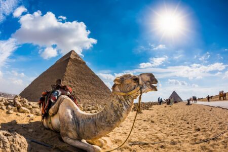 Wonders of Egypt and The Red Sea