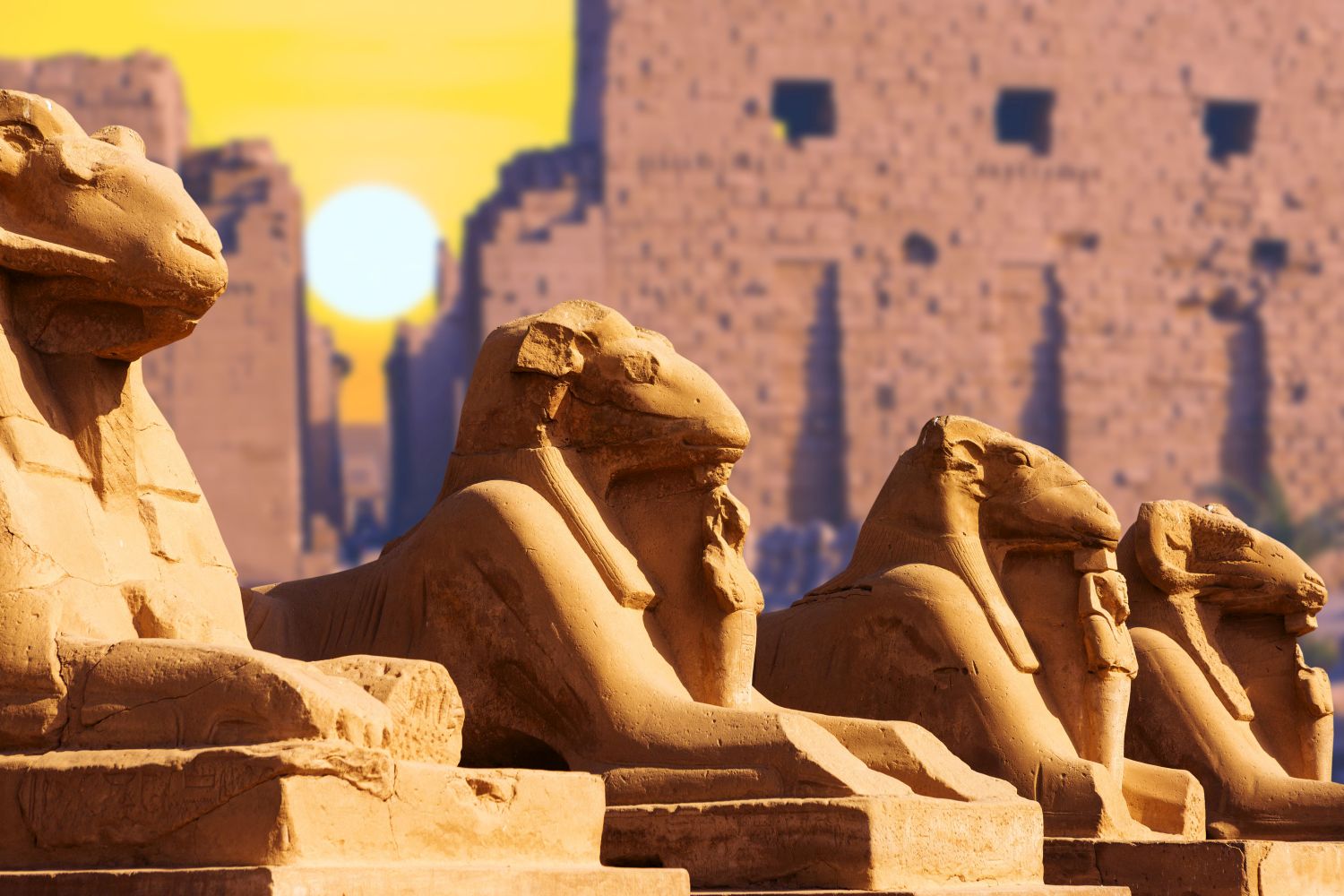 Day 5: April 22, 2024: Cairo to Luxor, Visit Karnak and Luxor temples